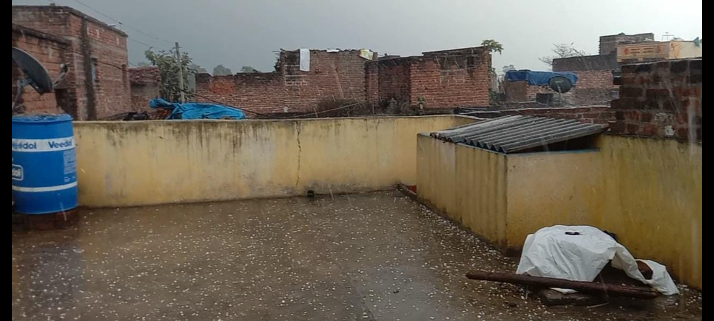 रहुई में बारिश के साथ ओला वृष्टि गिरने से फसल को भारी नुकसान।